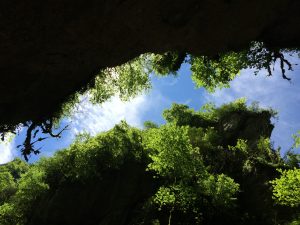 In der Schlucht